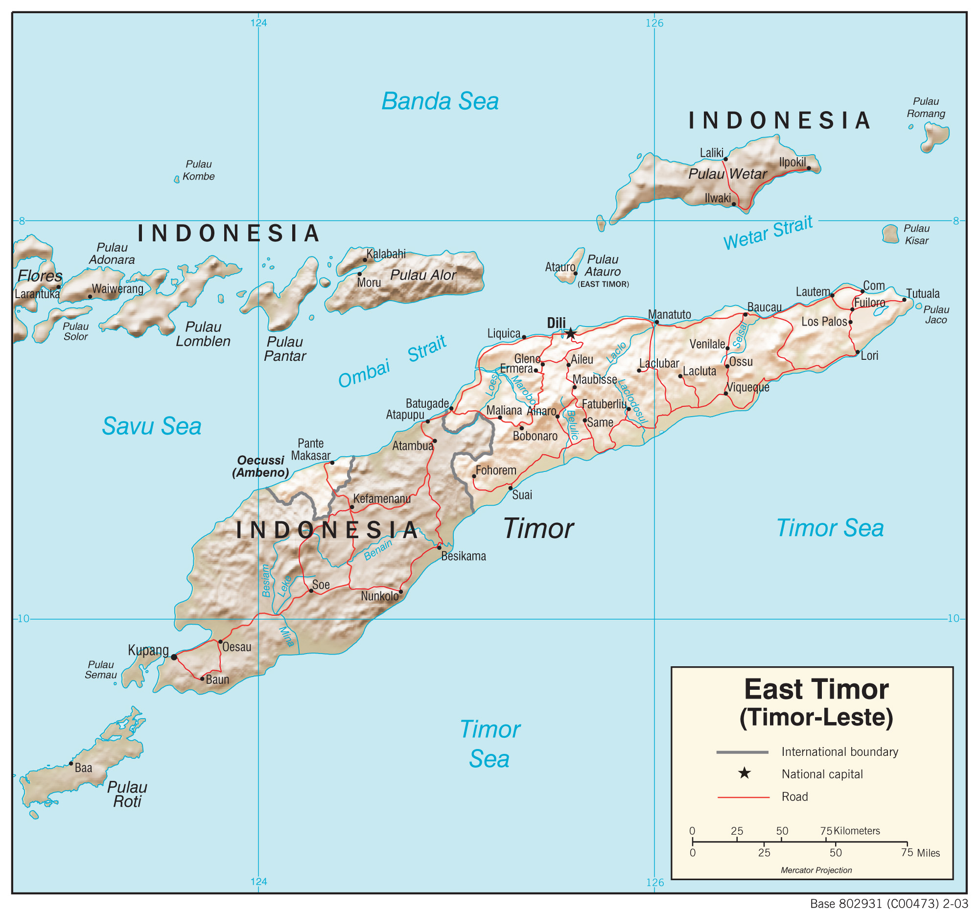 Geographic Map of Timor Leste preview
